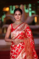 Shanvi Srivastava at SIIMA Awards 2018 Red Carpet